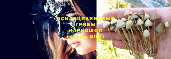 тгк Арсеньев