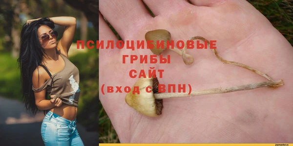2c-b Зеленокумск